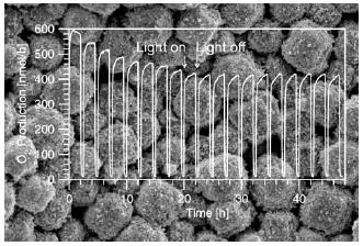 Zeolite A and Zeolite L Monlayers  Modified  with  AgCl as Phototalyst for Water  Oxidation  to  O2
	V. R. Reddy, A. Currao, G. Calzaferri
	Journal of Materials Chemistry 17, 2007, 3603-3609.
	